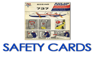 dan_logo_safety.jpg